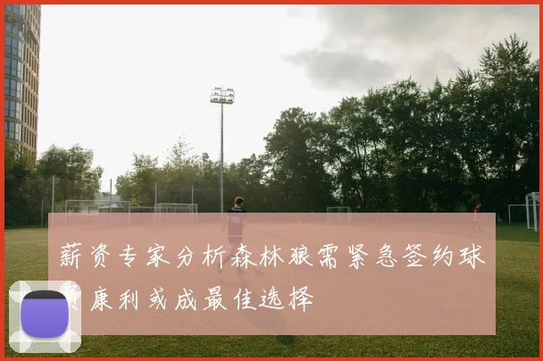 薪资专家分析森林狼需紧急签约球员康利或成最佳选择