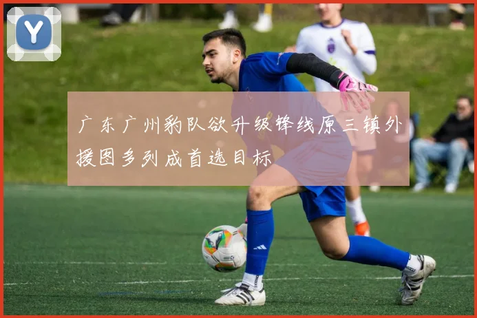 广东广州豹队欲升级锋线原三镇外援图多列成首选目标