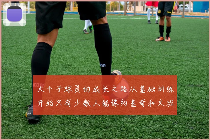 大个子球员的成长之路从基础训练开始只有少数人能像约基奇和文班那样成功