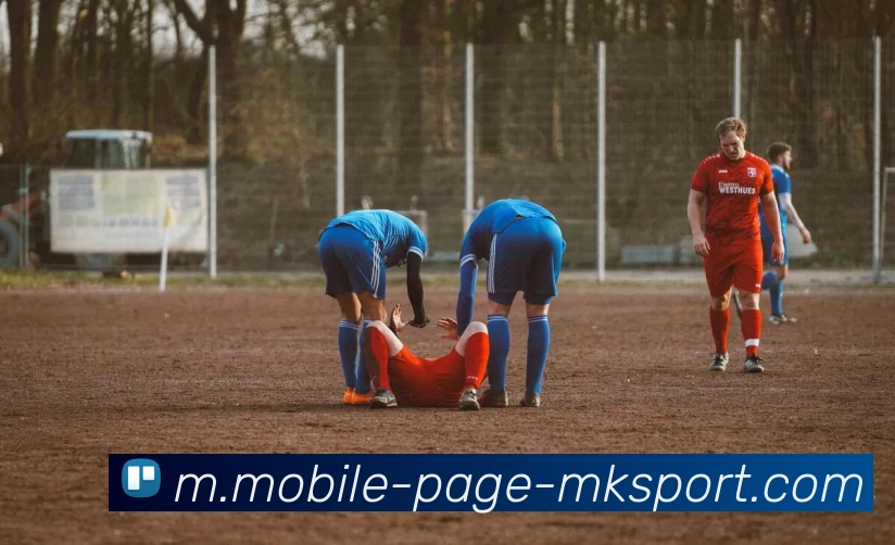 MK体育平台生态图