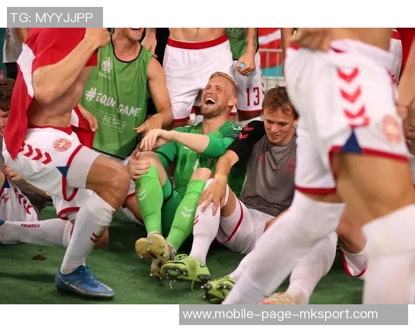 舒梅切尔：对拉门斯的评价需谨慎不宜施加过多压力